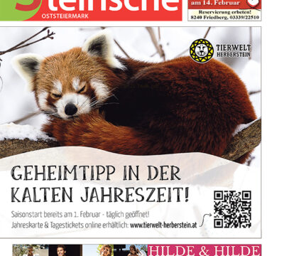 Oststeiermark Februar 2025