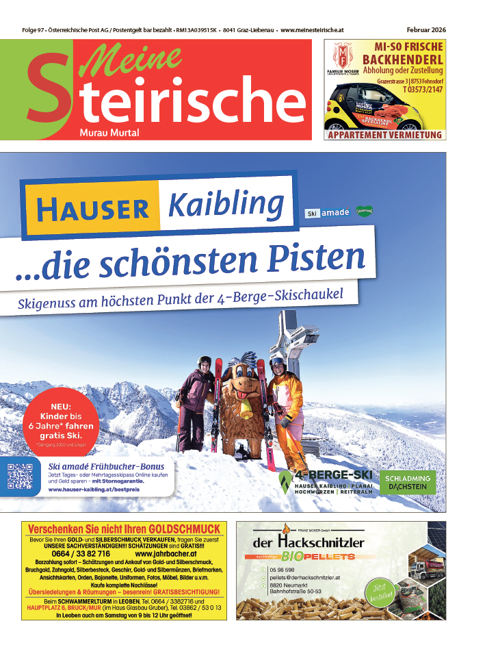 Murau Murtal Februar 2026