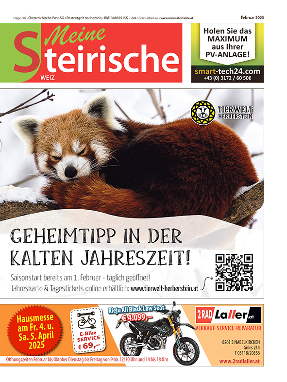 Weiz Februar 2025