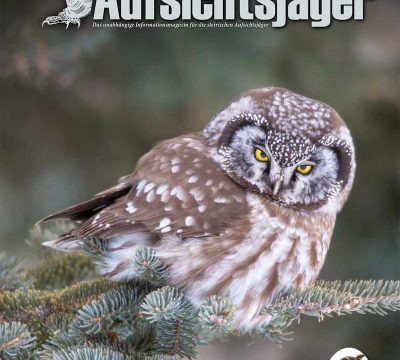 Der Steirische Aufsichtsjäger Ausgabe 24. – Winter 2020