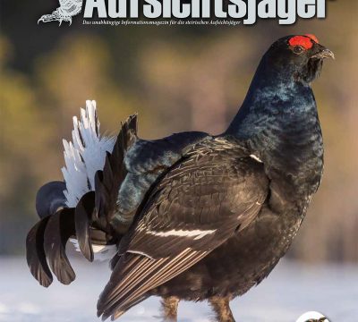 Der Steirische Aufsichtsjäger Ausgabe 25. – Frühling 2021