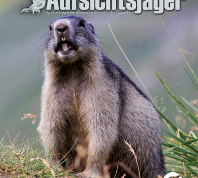 Der Steirische Aufsichtsjäger Ausgabe 26 – Sommer 2021