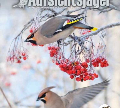 Der Steirische Aufsichtsjäger Ausgabe 28 – Winter 2021