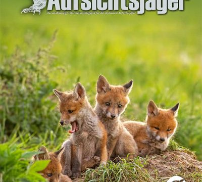 Der Steirische Aufsichtsjäger Ausgabe 29 – Frühling 2022