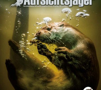 Der Steirische Aufsichtsjäger Ausgabe 30 – Sommer 2022