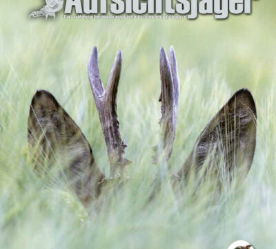 Der Steirische Aufsichtsjäger Ausgabe 34 – Sommer 2023