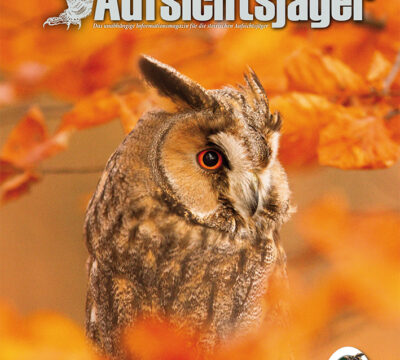 Der Steirische Aufsichtsjäger Ausgabe 35 – Herbst 2023