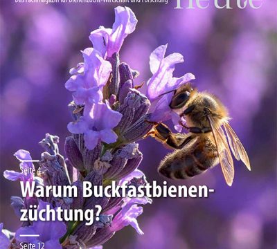 Imkern heute Ausgabe 3 Fühling/Sommer 2017