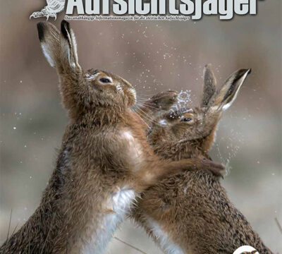 Der Steirische Aufsichtsjäger Ausgabe 41 – Frühling 2025