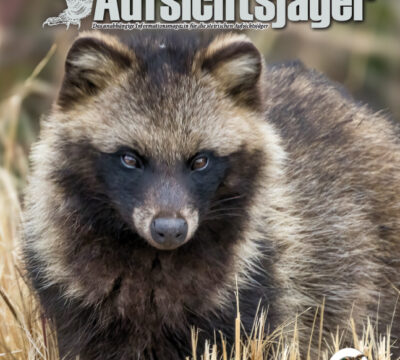Der Steirische Aufsichtsjäger Ausgabe 42 – Sommer 2025