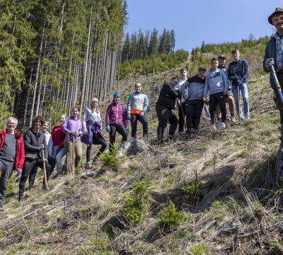 Die HAK setzt Bäume